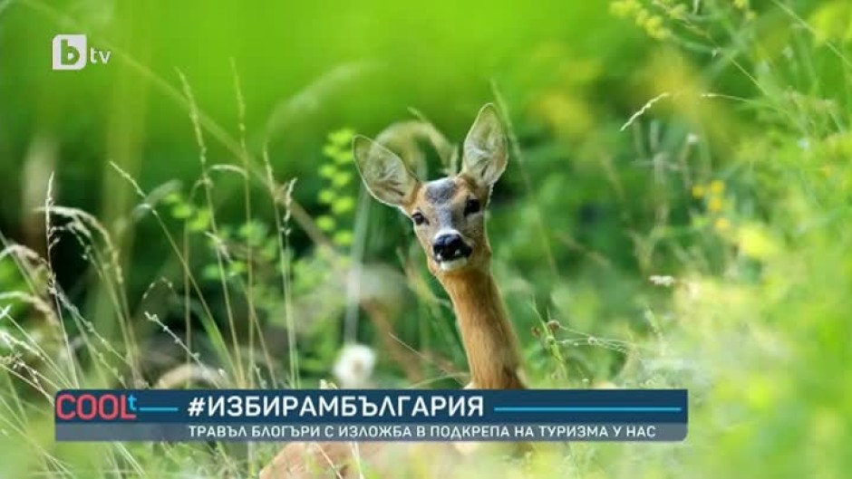 Травъл блогъри - с изложба в подкрепа на туризма у нас