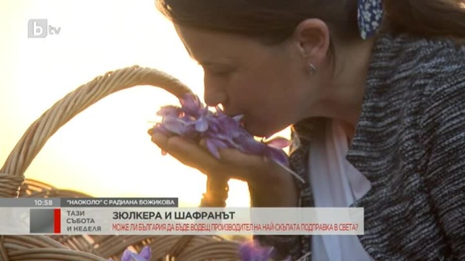 "Наоколо": Историята на Зюлкера Арифова от родопското село Туховища и магичния шафран