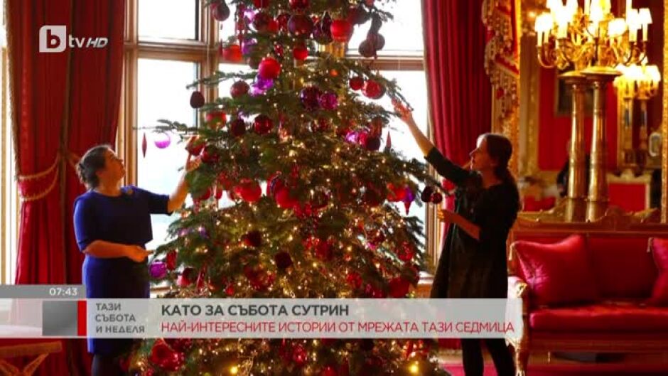 Елхата в Уиндзор
