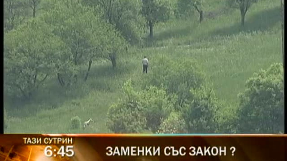 Четвъртък сутрин в Тази сутрин 