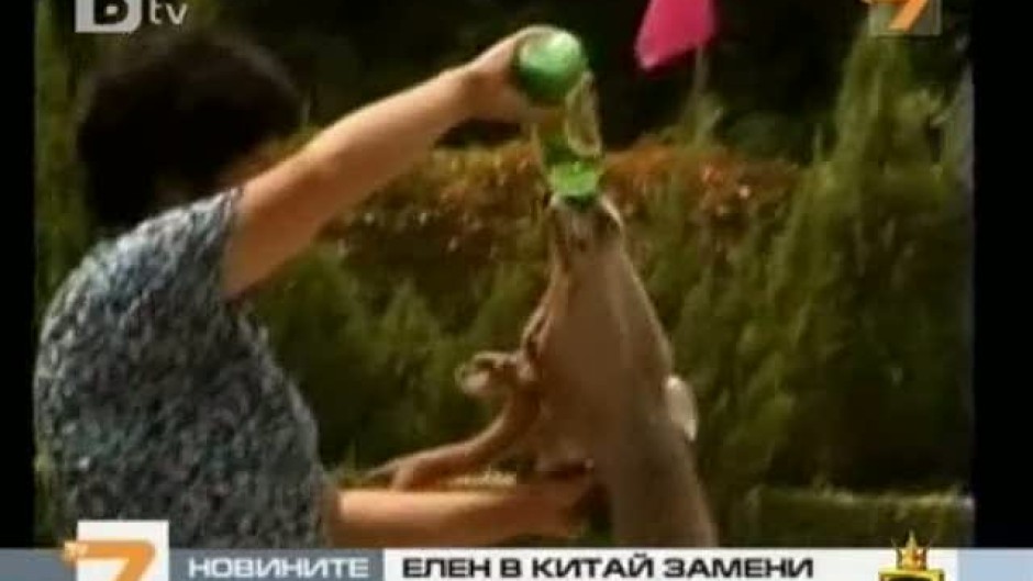Елен любител на бирата и виното