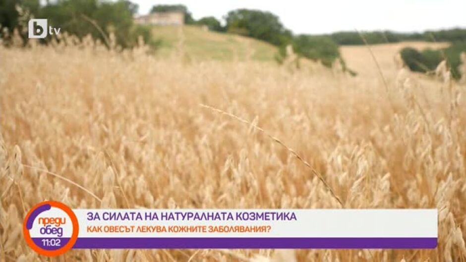 Как овесът лекува кожните заболявания?