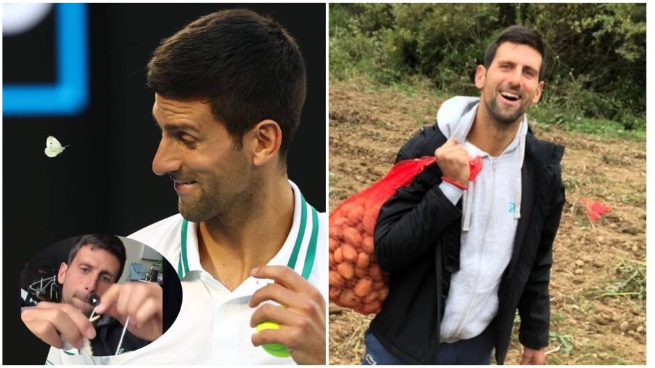 Новак Джокович - шампион на корта, перфектен съпруг у дома. А на нивата с картофи? (ВИДЕО)