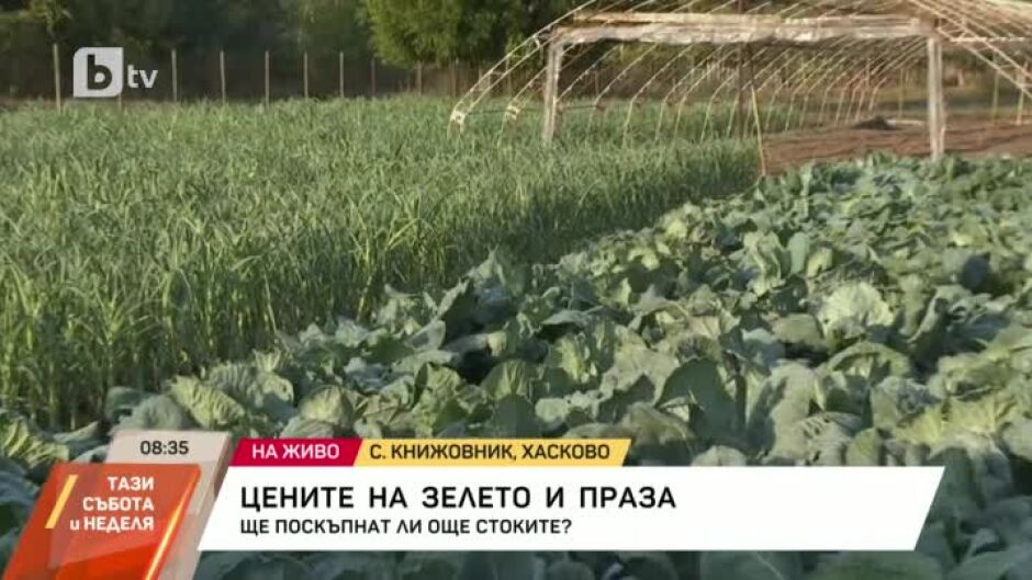 Какви са цените на зелето и праза при производителите?