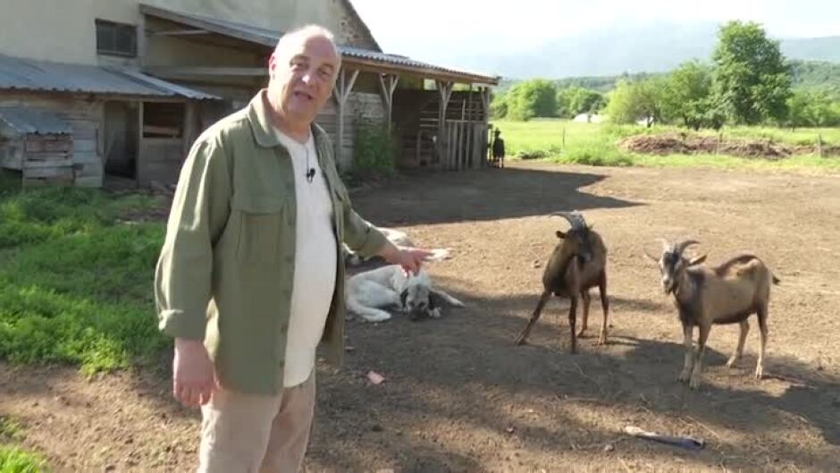 "Още от Бягство към победата": Коя коза ще хване Краси?