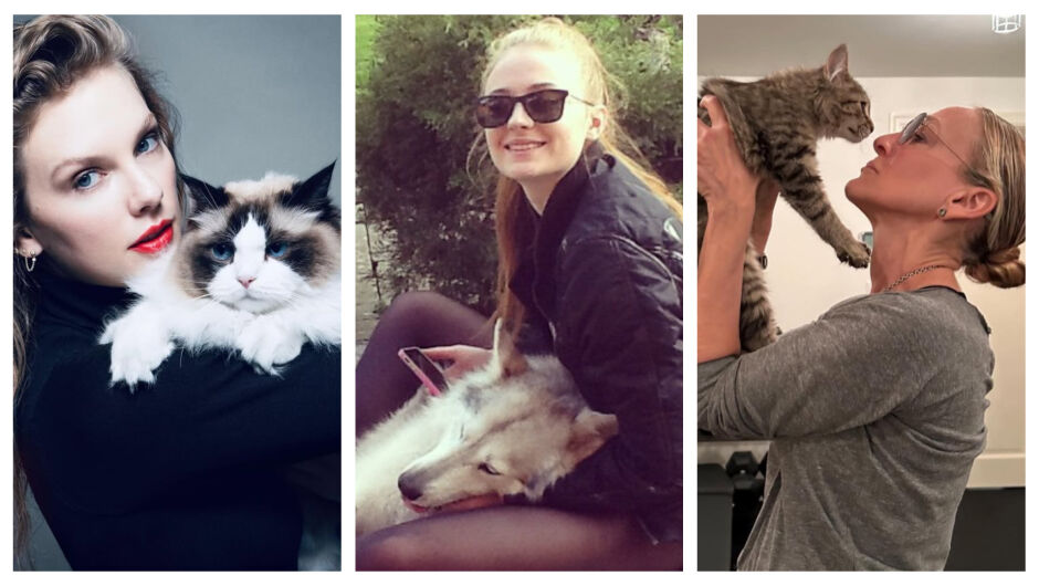 7 актьори, които осиновиха животните, с които си партнират на снимачната площадка