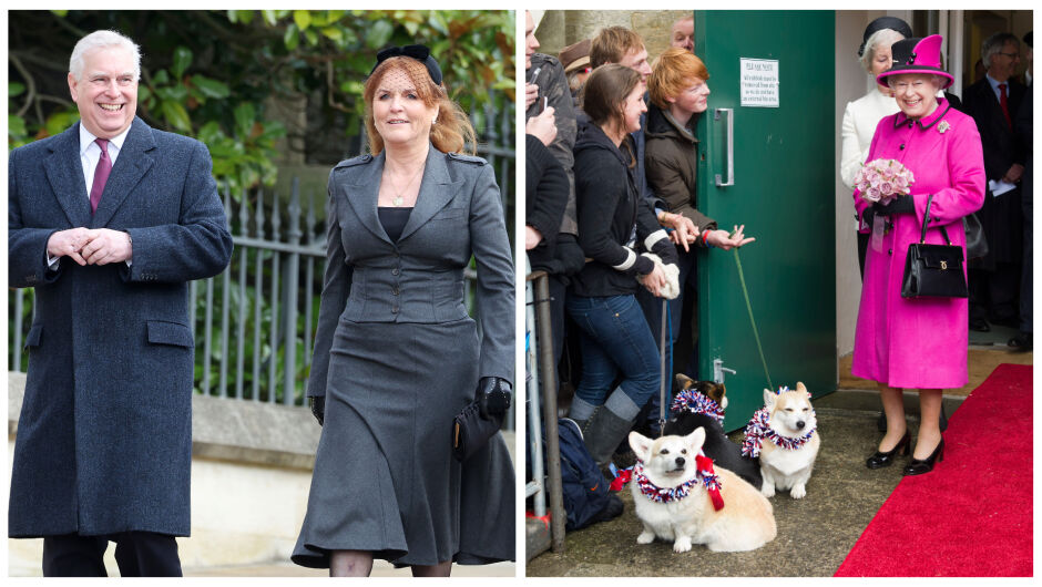 Кой ще се грижи за кучетата на кралица Елизабет Втора от сега нататък? (СНИМКИ)
