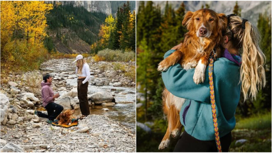 Най-специалното куче – Арло беше свидетел на годеж, а 4 дни след това почина (СНИМКИ)