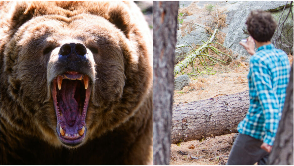 Три трагедии за 7 дни - мечки отнемат човешки животи (СНИМКИ)