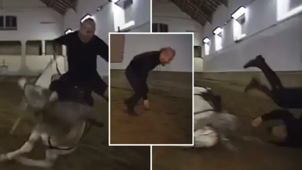 Да паднеш елегантно от кон. Зизу знае как