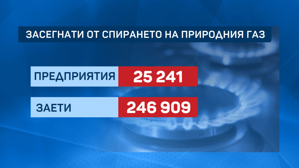 Нинова и представители на бизнеса поискаха замразяване на цената на газа (ОБЗОР)