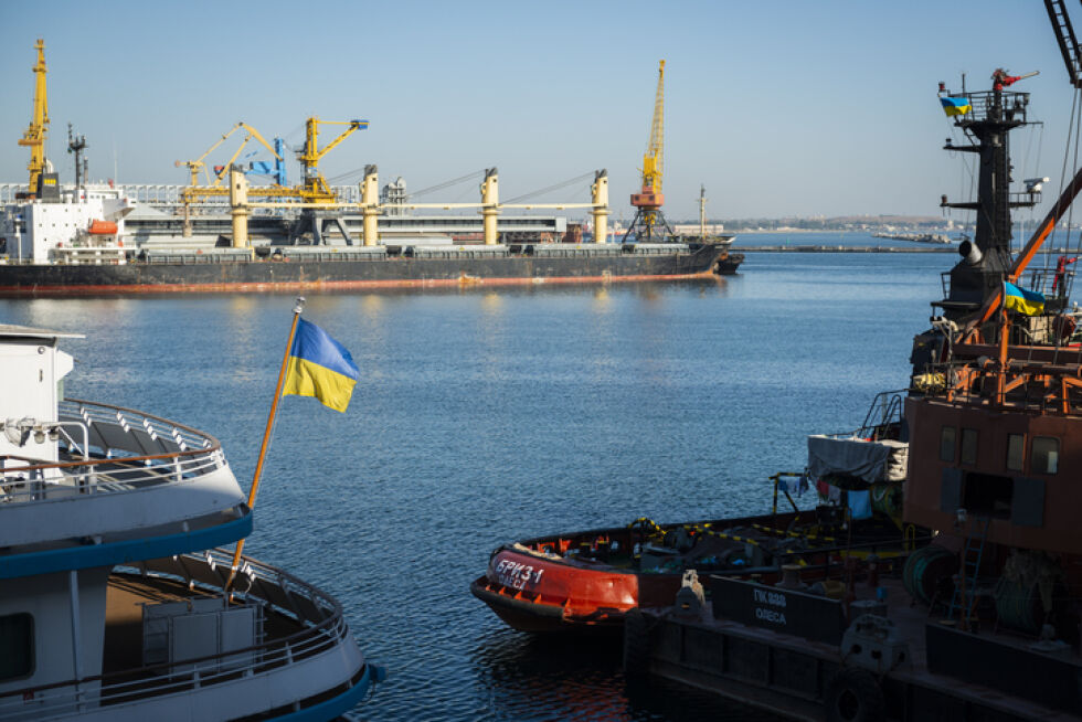 Украйна задържа чуждестранен кораб във водите си - изнасял крадено зърно