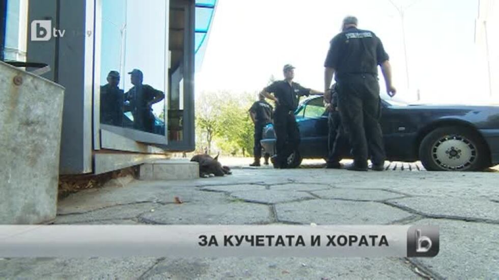 Депутатите може и да излизат в почивка - но едно куче остава на своя пост