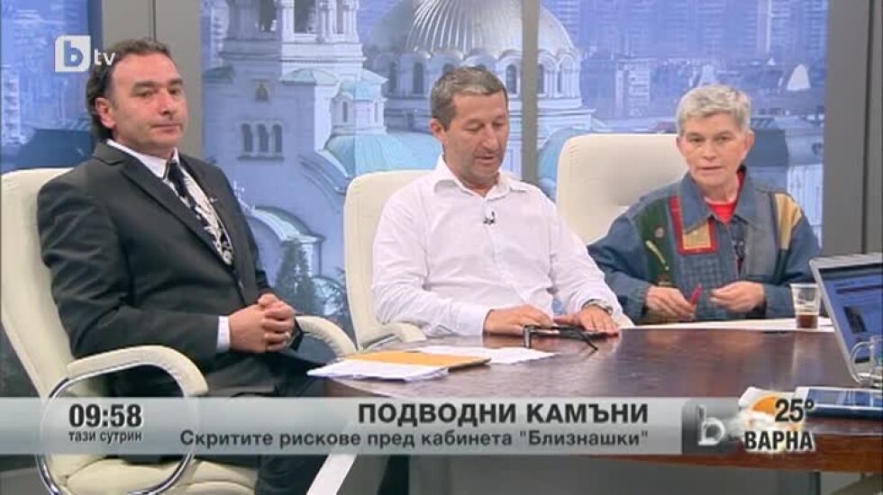 Кабинетът "Близнашки" - между осребрения протест и прфесионализма