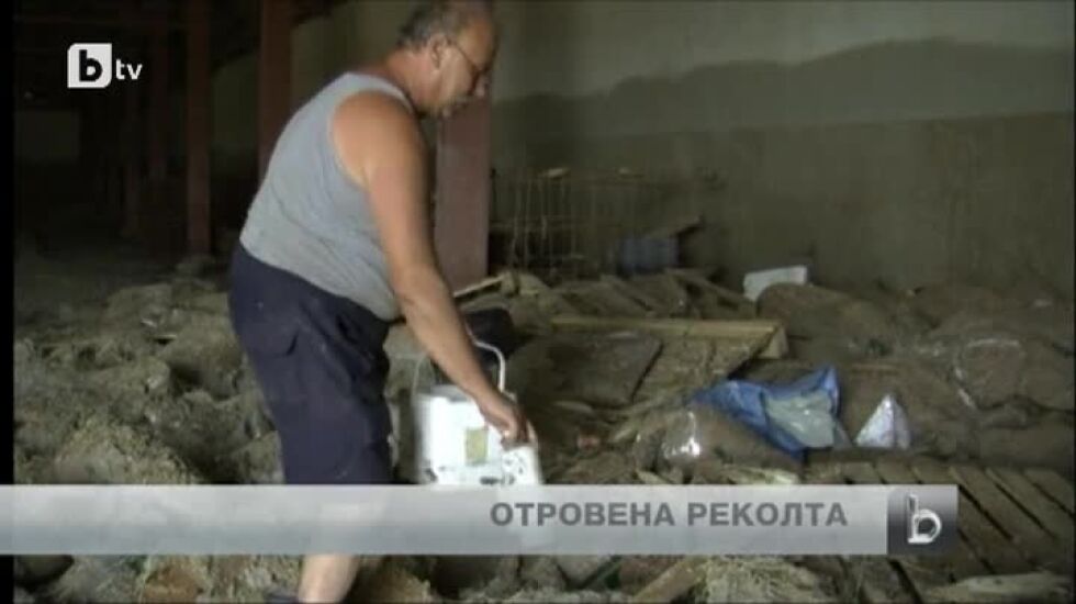 Река Скът залива 1500 декара с царевица