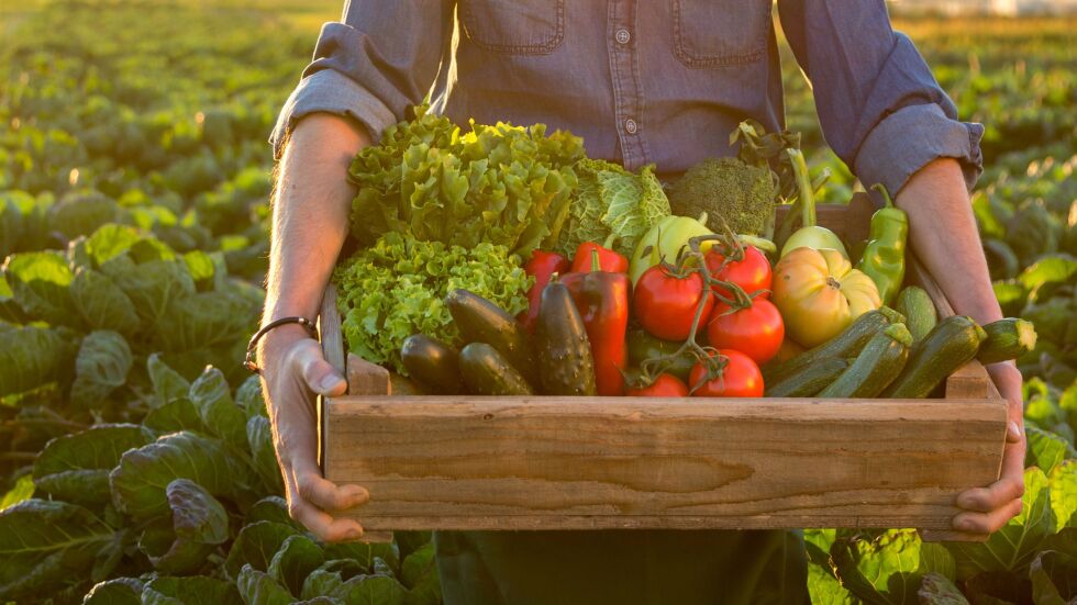 Производителите на зеленчуци ще получават субсидии на база продадена продукция