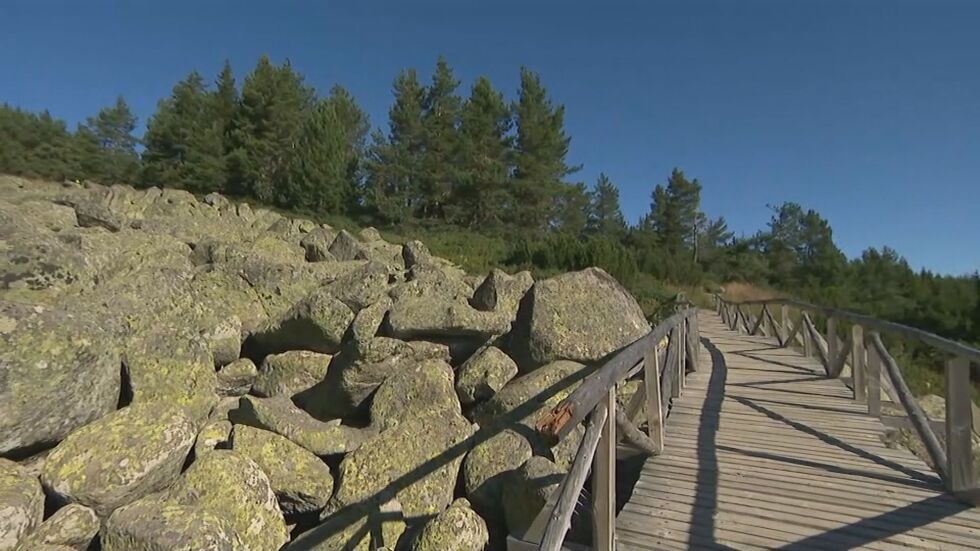 Природен парк „Витоша” отново ще се включи в „Да изчистим България заедно”