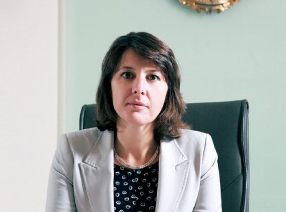 Весела Чернева: Стрелбата в Германия може да повлияе на референдума