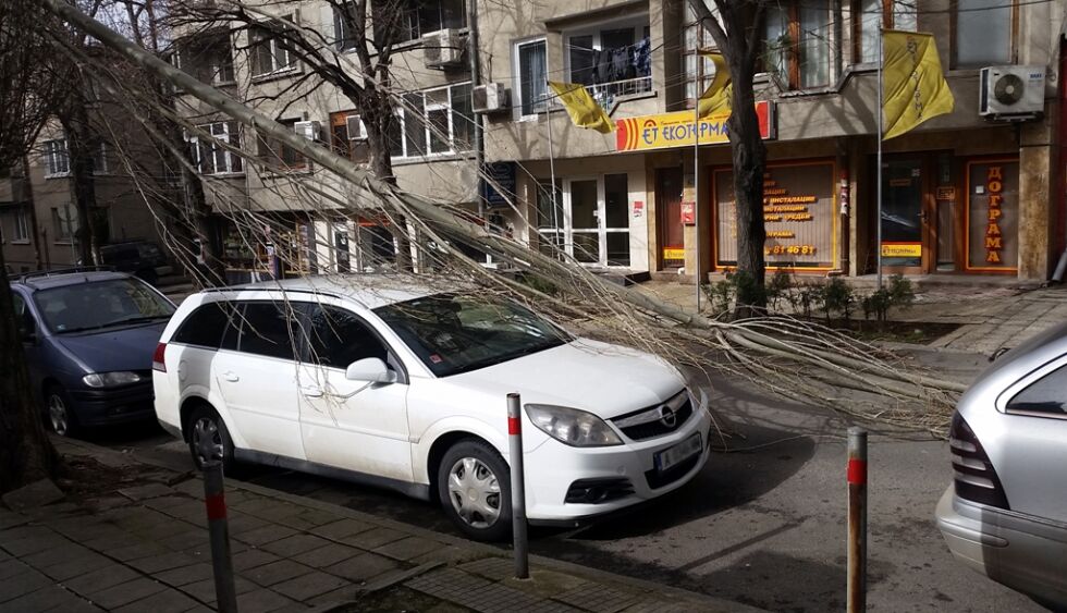 Изкоренени дървета и наводнени улици в Бургас