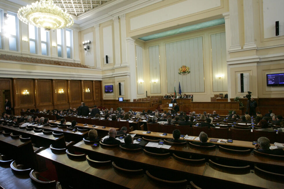 Антрополог: Да направим референдум за нова конституция