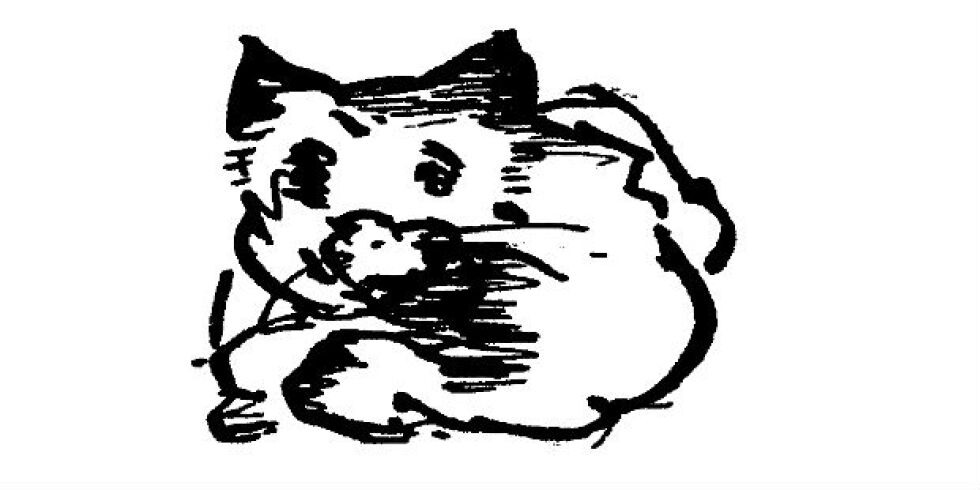 Попитай кафето – котка, кошница, коса за трева