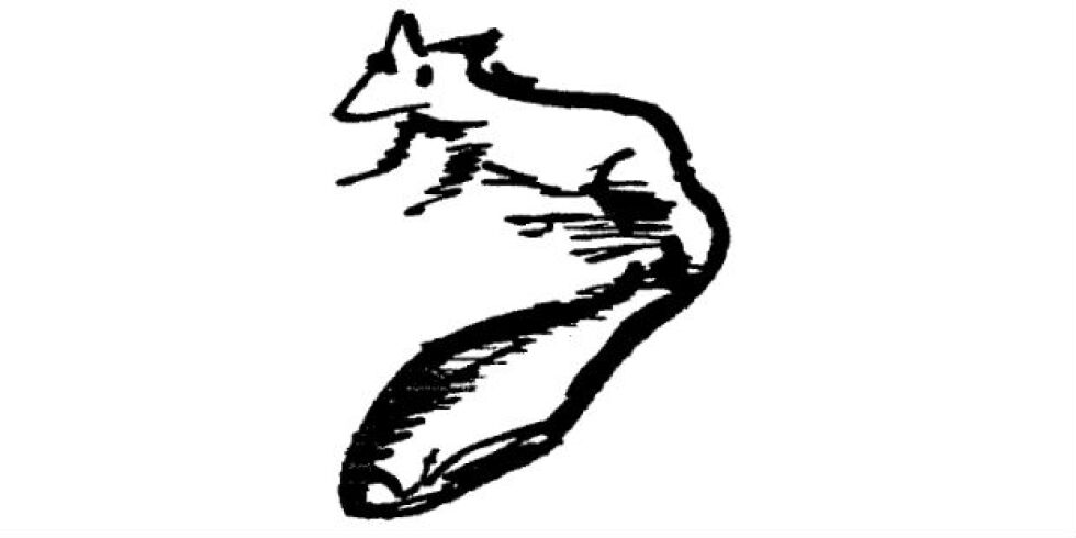 Попитай кафето – лисица, линии, листо