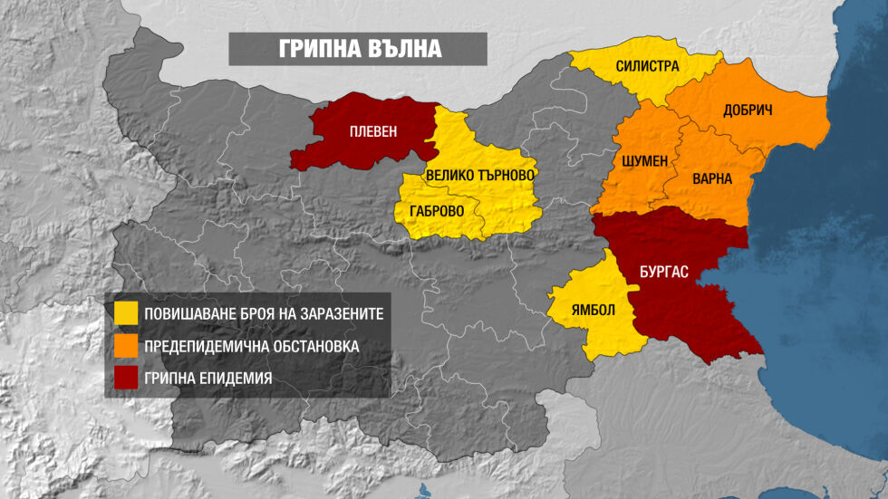 Грипна епидемия и в Плевен