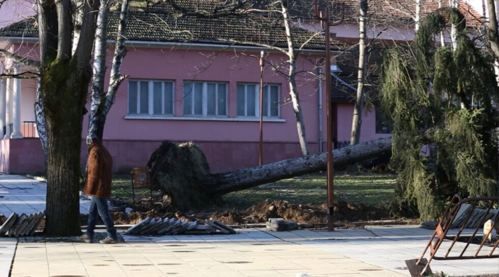 Вършец след ужаса на урагана