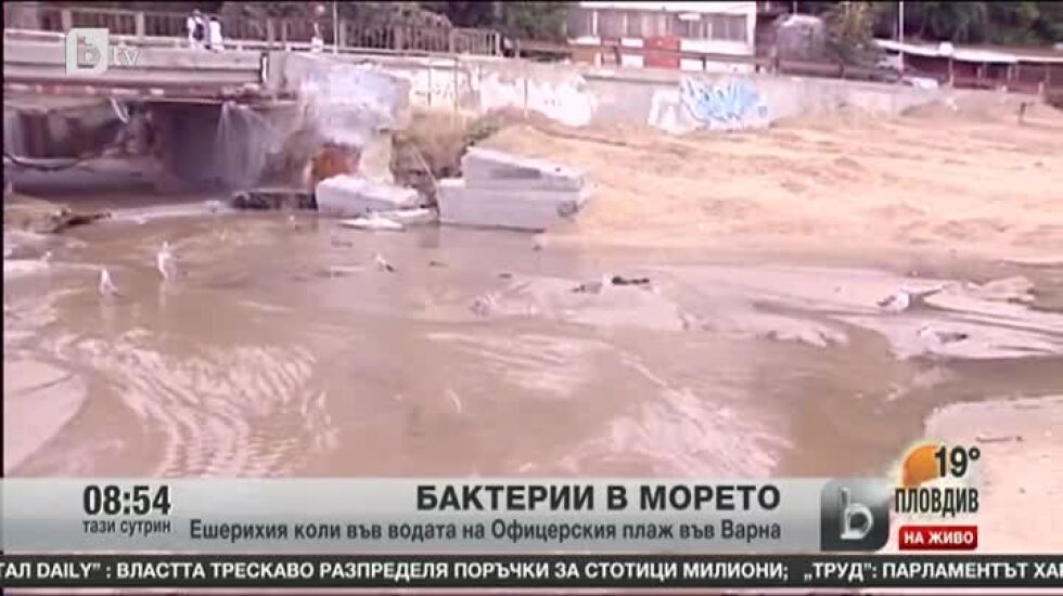 Големите наводнения замърсиха морската вода във Варна