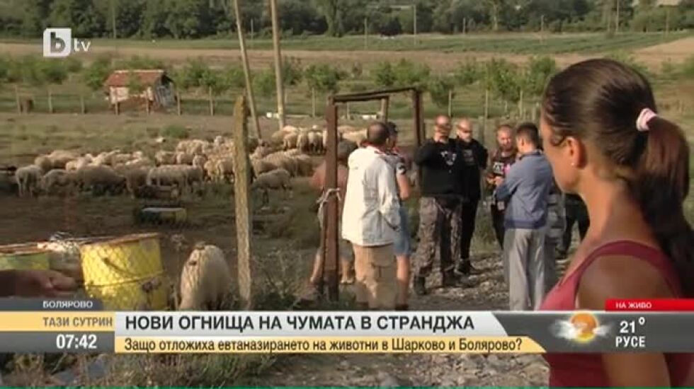 В Болярово искат и независима лаборатория да се произнесе има ли чума