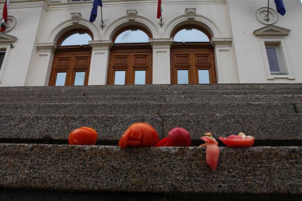 Двама, замеряли парламента с домати, отиват на съд
