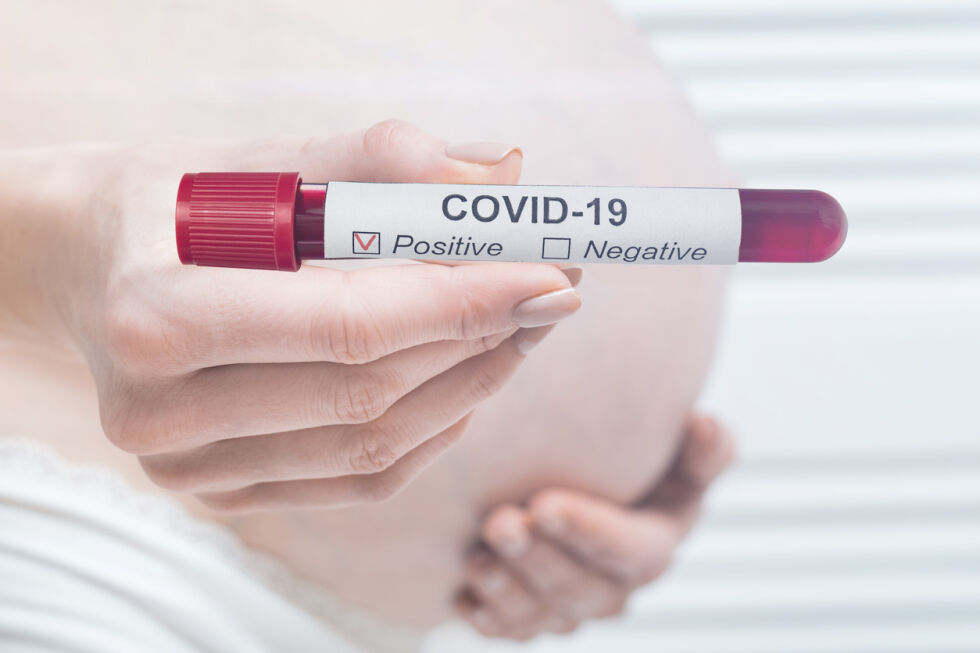 COVID-19 и бременните: Създадоха съвет от експерти по акушерство и гинекология