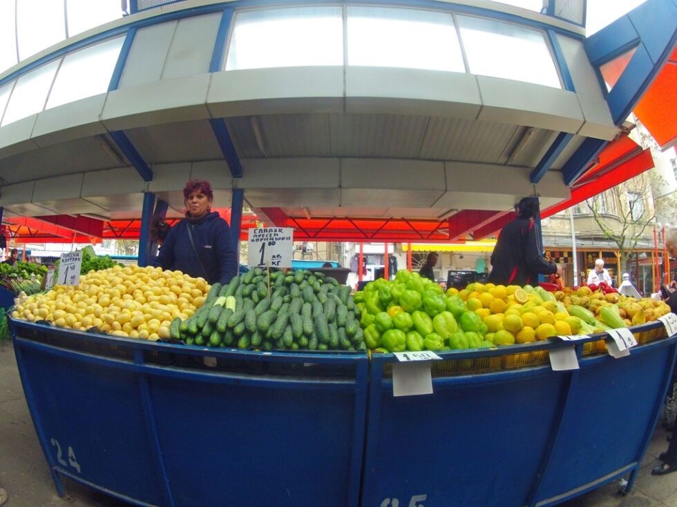 Преките щети за България от руското ембарго „не са големи"