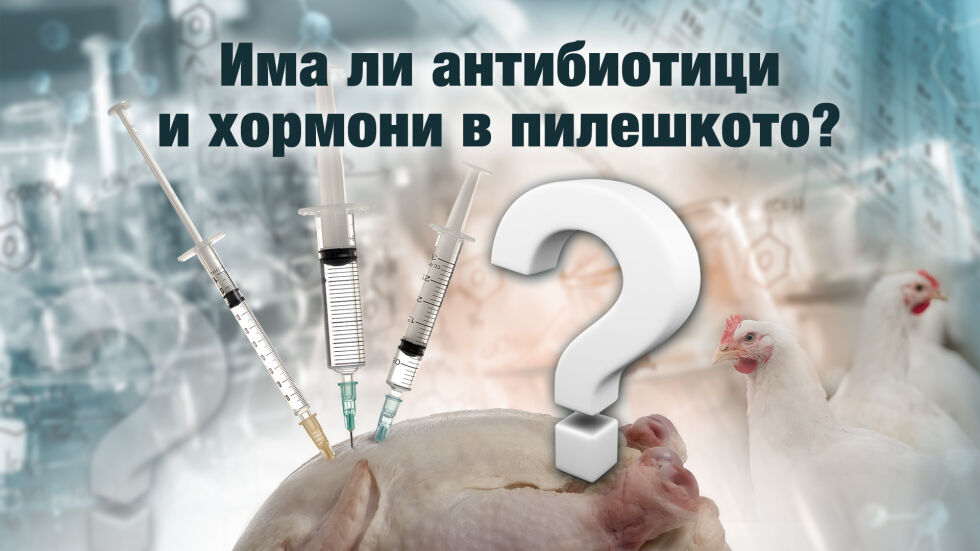 „Чети етикета”: Има ли хормони и антибиотици в пилешкото?