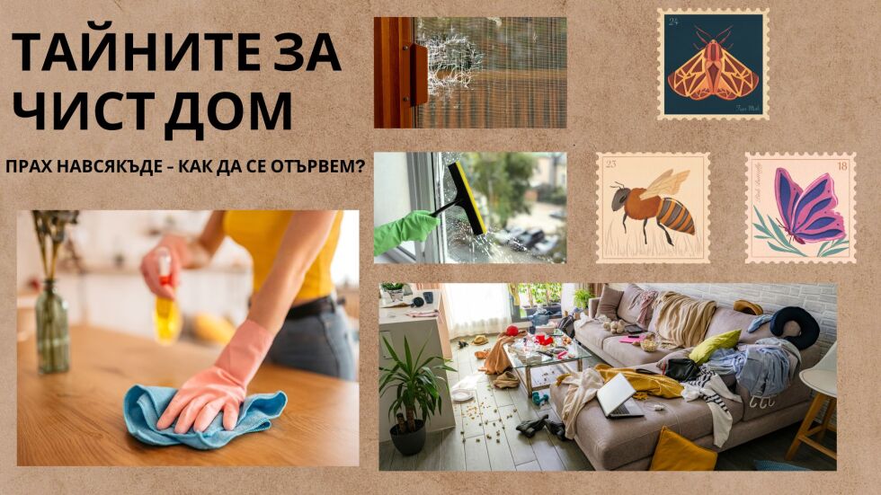 Прах у дома - ето как да се отървем