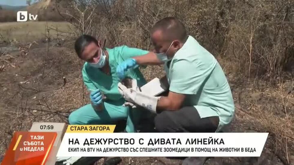 Екип на bTV на дежурство със спешните зоомедици в помощ на животни в беда