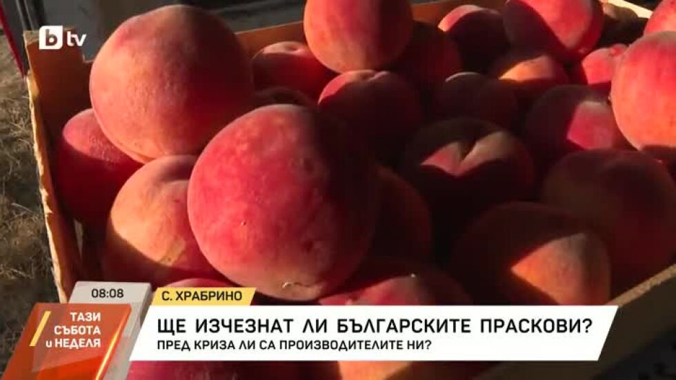Ще изчезнат ли българските праскови?