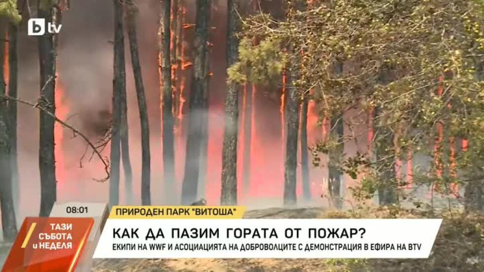 Как да пазим гората от пожар?