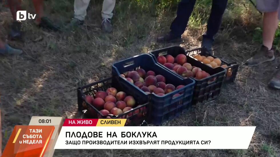 Плодове на боклука: Защо производители изхвърлят продукцията си?