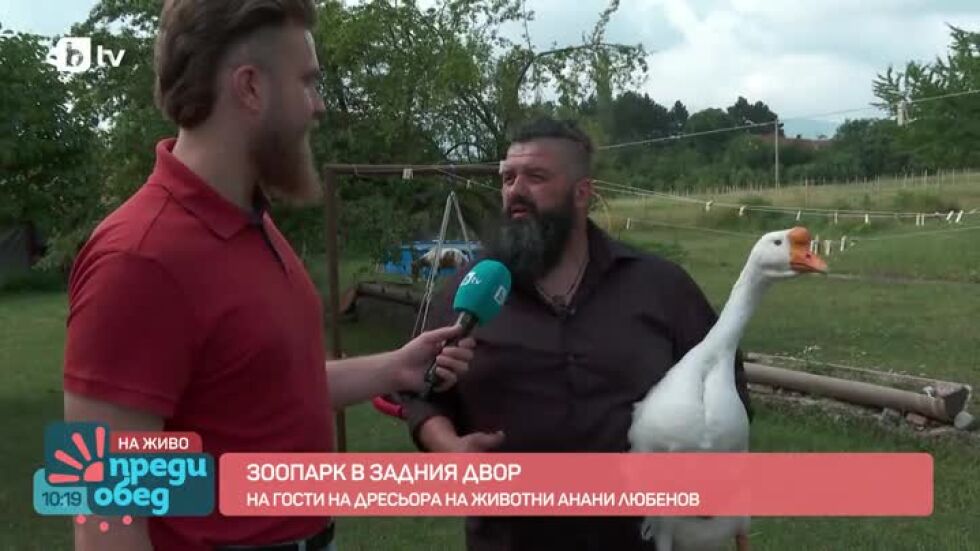 Историята на малкия Лиско, който се превърна в домашен любимец