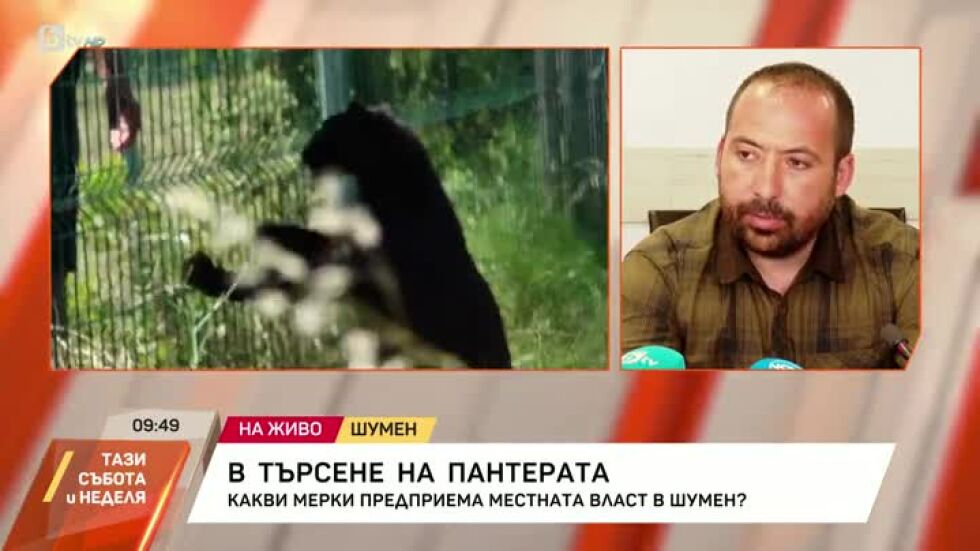 Продължава издирването на пантерата в Шумен