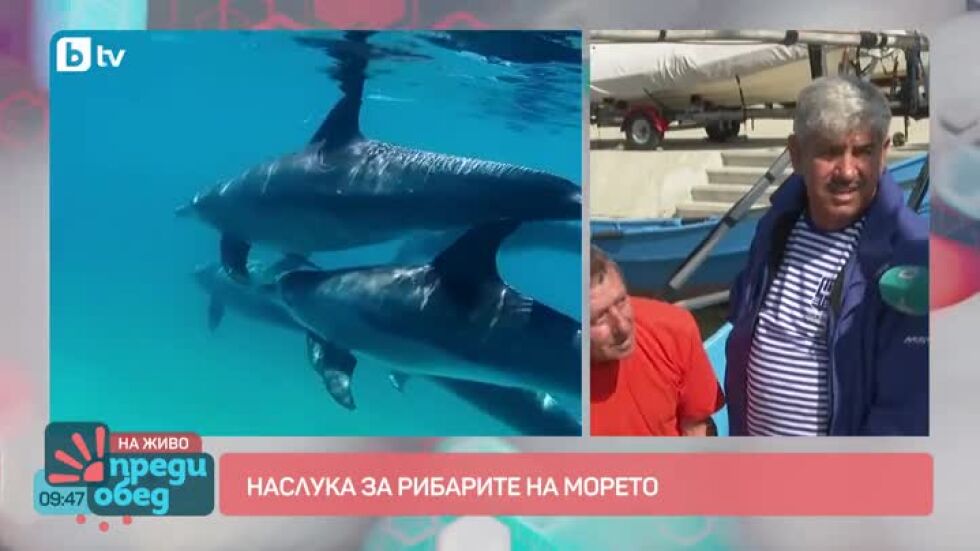На морето: Рибари и делфини в конкуренция за рибата
