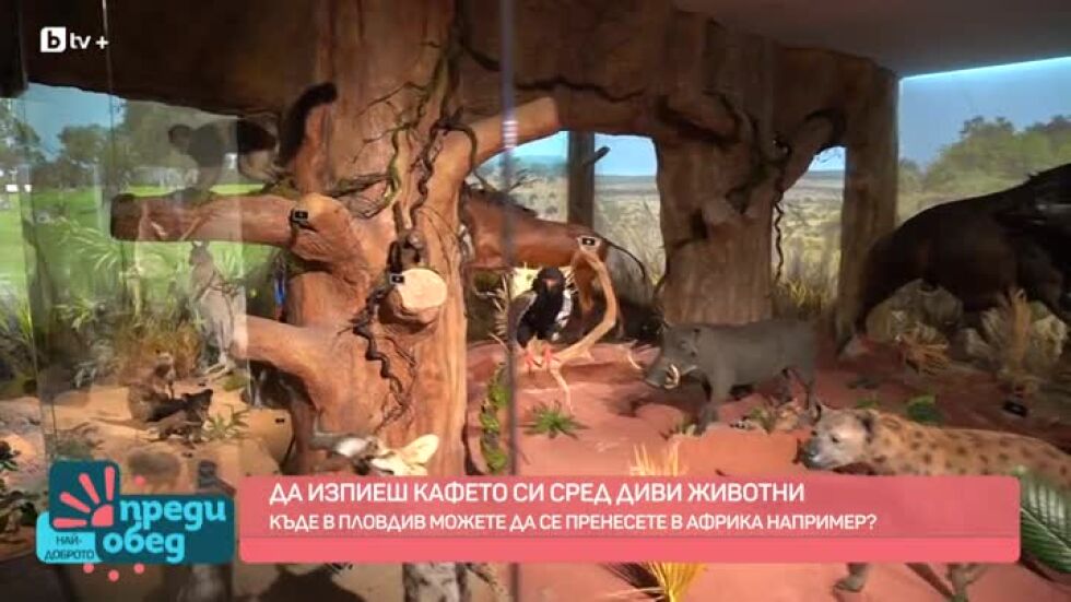 Да си пиеш кафето сред диви животни...