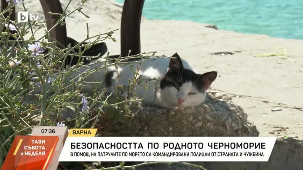 Ръст при кражбите на плажа