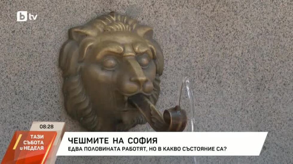 В какво състояние са чешмите на София?