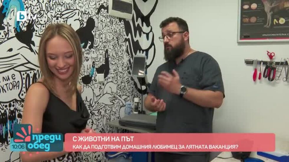 С животни на път: Как да се погрижим за здравето на домашните любимци в колата?