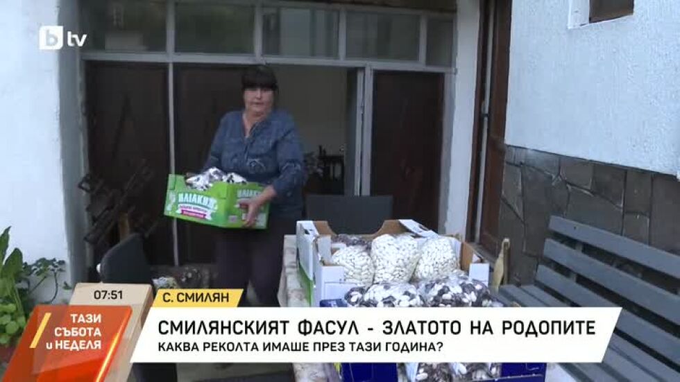 Смилянският фасул - златото на Родопите