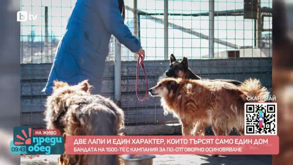 Бандата на 1500-те с кампания за по-отговорно осиновяване на животни