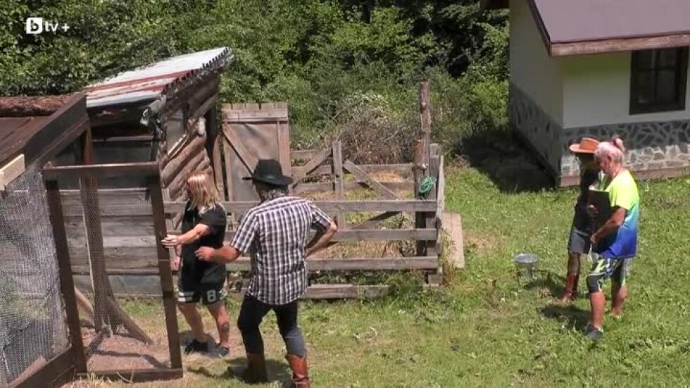 Наставниците Бети и Ники оценяват седмичните задачи