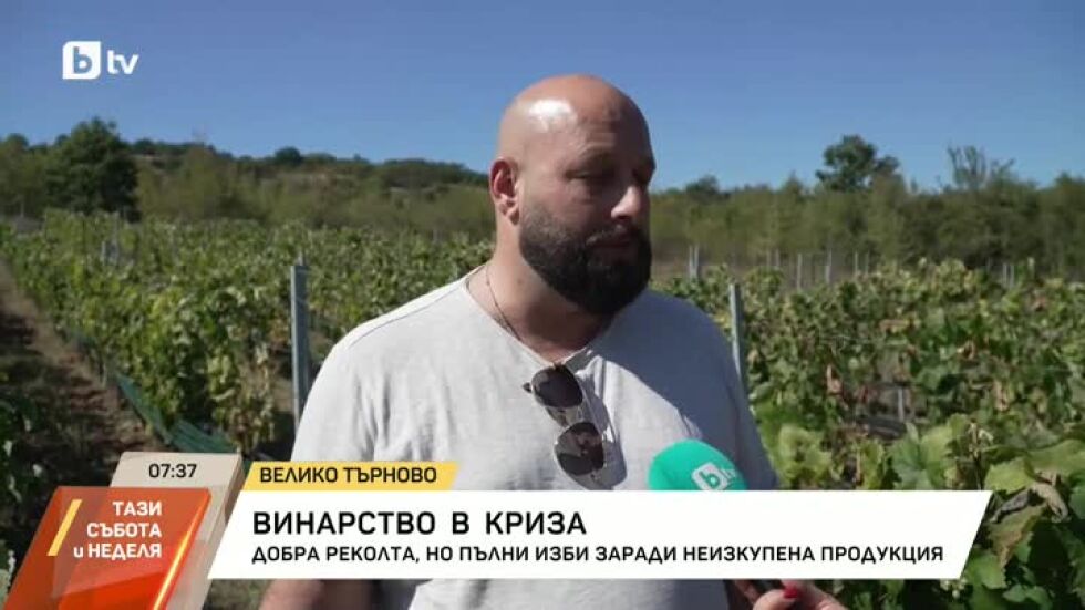Защо българското вино губи позиции на пазара?